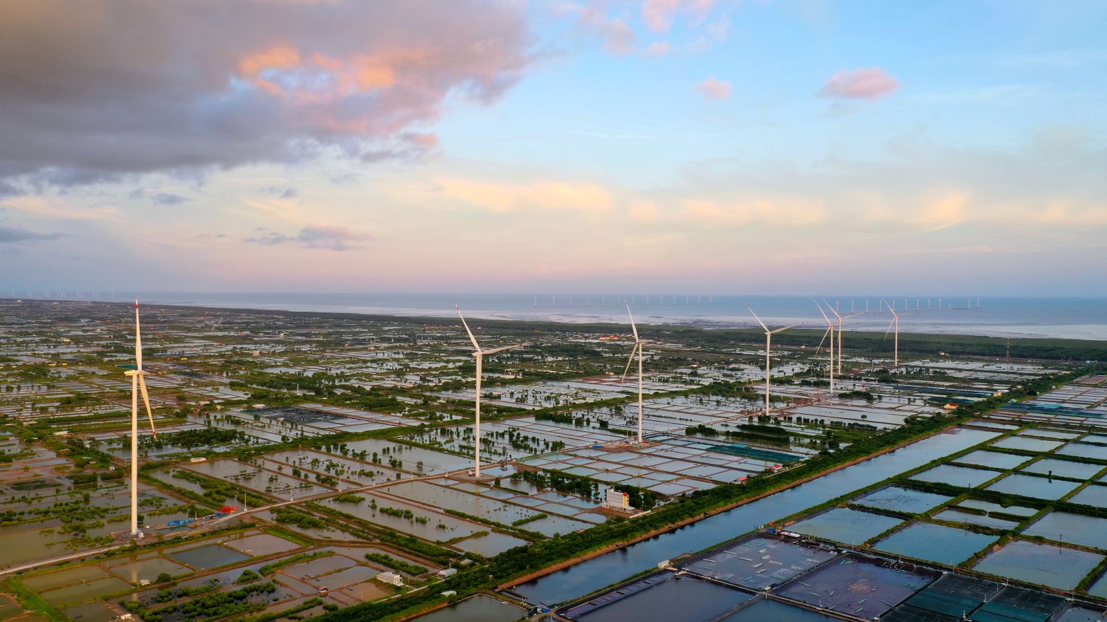 Hacom Holdings vận hành nhà máy điện gió lớn nhất ĐB sông Cửu Long - 2